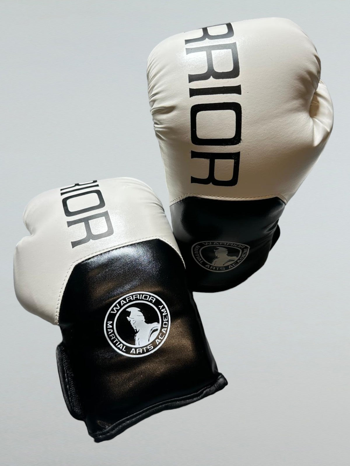 WARRIOR BOXING GLOVES