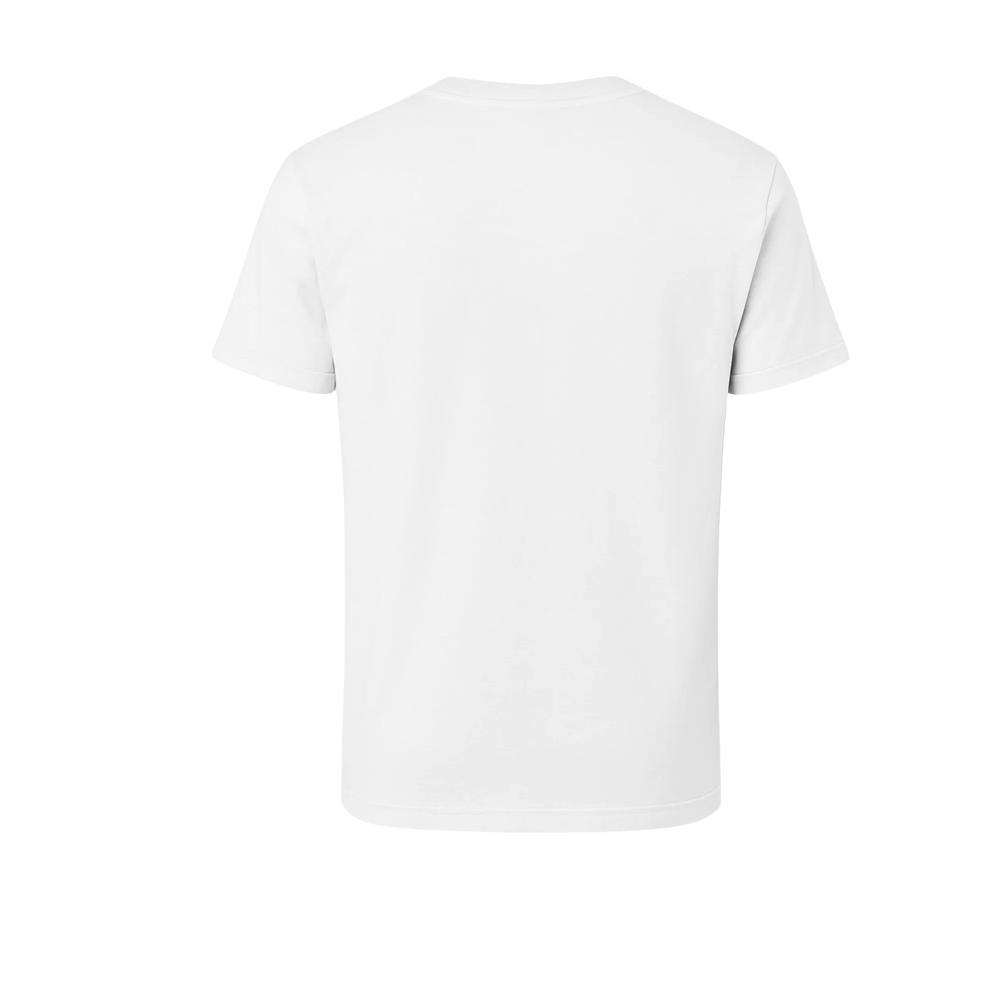 FIGHTING WARRIOR CUSTOM MEN'S T-SHIRT DTF PRINTED (ADULTS)