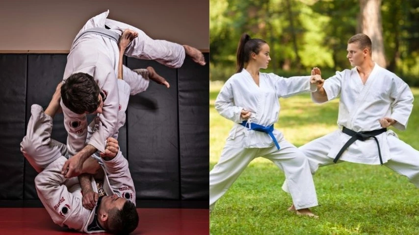 Comparison Between Taekwondo Vs Jiu Jitsu
