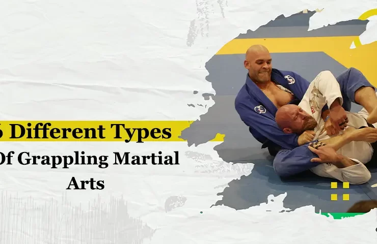 6 Different Types Of Grappling Martial Arts